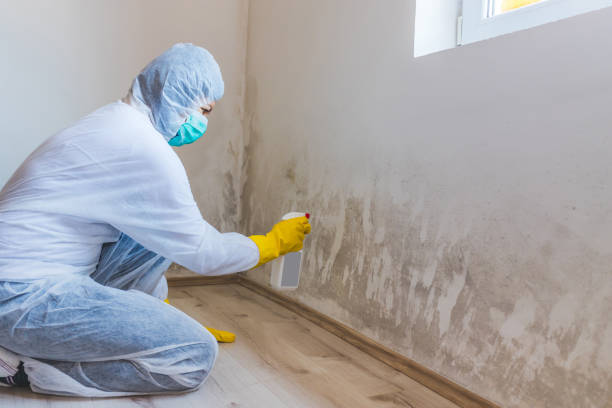 Mold Remediation specialist working in Lake Grove